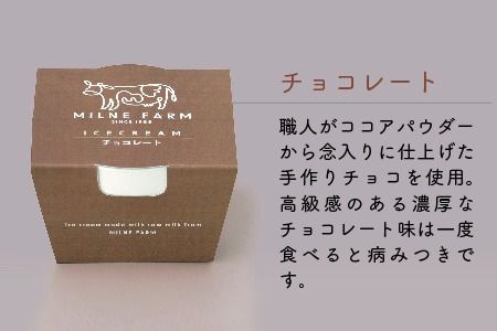 佐賀脊振高原ミルン牧場のアイスクリーム48個セット【手作り 濃厚 生乳 ミルク バニラ 抹茶 チョコ ストロベリー ラムレーズン】(H102124)