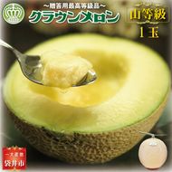 クラウンメロン（山等級）１玉入 
