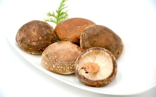 新ブランド 松阪T220 松阪豚 お茶 しゃぶしゃぶ セット 松阪茶 しいたけ 魔法の塩ポン酢 松阪豚専門店 まつぶた ふるさと納税 豚肉 ポーク キャンプ 焼肉 三重 松阪 肉【2-159】