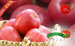 【2026年発送】志賀高原の麓で育った シナノスイート （家庭用）約10kg りんご 10kg フルーツ 果物 長野県 長野
