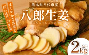 八郎生姜 2kg しょうが ショウガ ガリ ジンジャー 野菜 食品 薬味 生姜焼き しょうが焼き 温活 冷え性 対策 熊本県 八代市 東陽町 産地直送 国産