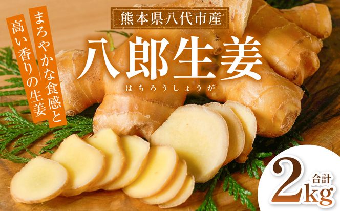 八郎生姜 2kg しょうが ショウガ ガリ ジンジャー 野菜 食品 薬味 生姜焼き しょうが焼き 温活 冷え性 対策 熊本県 八代市 東陽町 産地直送 国産