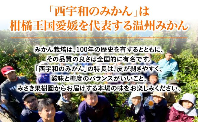 【先行予約】【秀品】えひめ西宇和みかん 5kg（MLサイズ）※離島への配送不可（2026年11月上旬頃より順次発送予定） IKTAR001