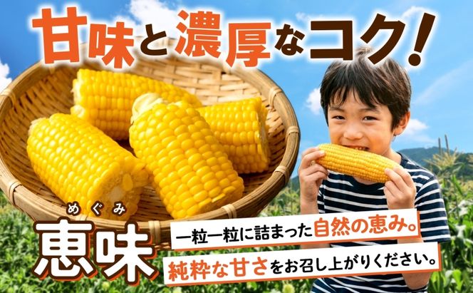 朝もぎ イエロー とうもろこし 恵味 2Lサイズ 26本 約10kg 大きめ 夏野菜 とうきび 旬 新鮮 野菜 トウモロコシ 甘い ギフト 産地直送 コーン 産直 グリーンアースファーム 送料無料 北海道 倶知安町