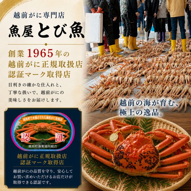 かに 年末に届く 茹で 越前がに 約600g 2杯 セット ずわい蟹 ボイルカニ ボイル 年末