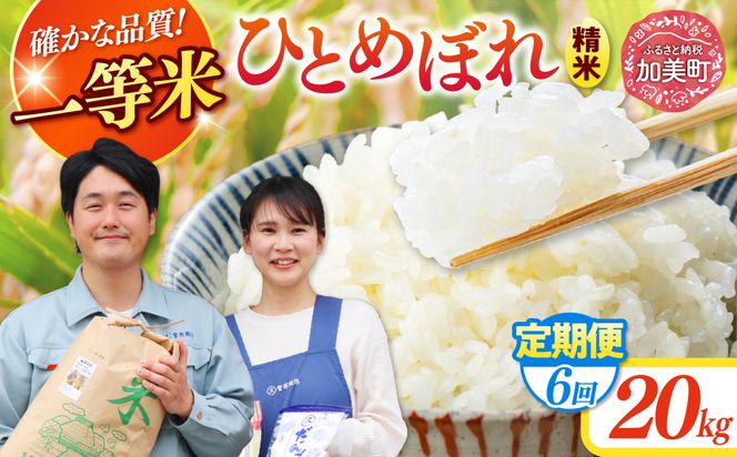【6回定期便】 精米 令和7年産 宮城県産ひとめぼれ 計120kg (10kg×2袋)×6回 [菅原商店 宮城県 加美町 ]   |sg-hb20-t6-r7