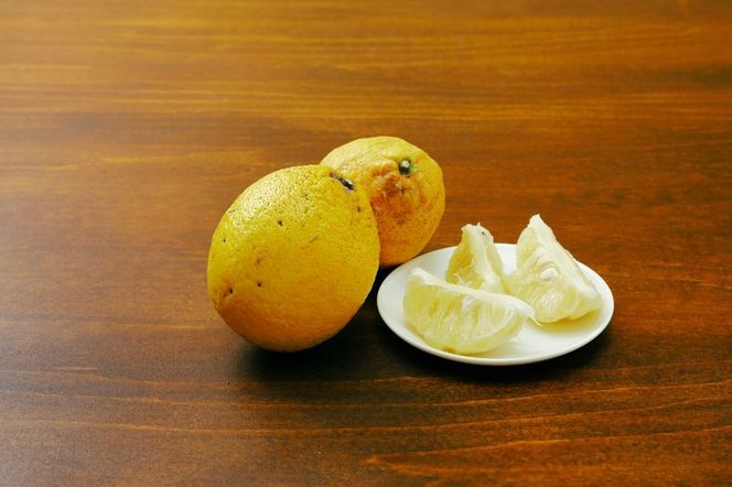 【数量限定】家庭用 瓢柑(7kg) 訳あり ※北海道・沖縄・離島への配送不可 への配送不可 （2026年4月1日より順次発送） IKTA021