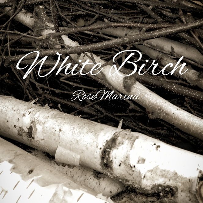 【滝川市の白樺アロマウッド＆ゼラニウム精油ブレンド】 北海道 滝川市産 アロマウッド 1個＆精油ブレンド 10ml セット アロマ 精油 ブレンド