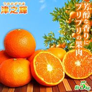 G7057_【2027年先行予約】和歌山産 津之輝 (つのかがやき) 5kg