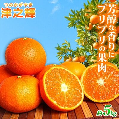 G7057_【2027年先行予約】和歌山産 津之輝 (つのかがやき) 5kg