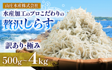 しらす 500g 〜 4kg 訳あり 冷凍 ちりめん かちり しらす干し 減塩 極み ごはん 丼 パスタ チャーハン サラダ 魚 料理 山庄 愛知県 南知多町 師崎