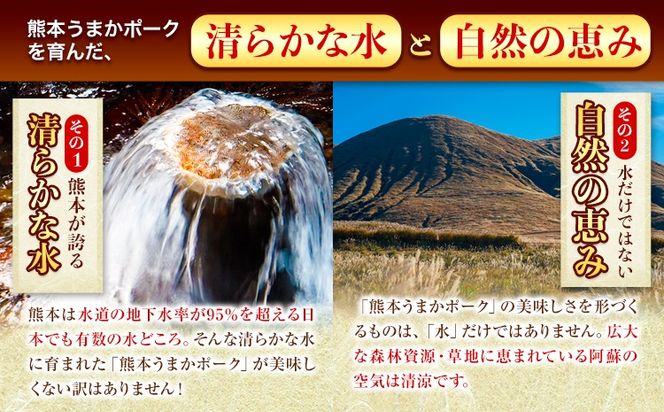 豚肉 小分け しゃぶしゃぶ 豚バラ 豚ロース 熊本 うまか ポーク スライス フィルムタイプ 2.4kg《11月出荷予定》 お楽しみセット 豚しゃぶ 豚バラ肉 うまかポーク 3種 豚バラエティー セット 小分け スライス---oz_fumpsya_r7_20000_f2400g_ac11---