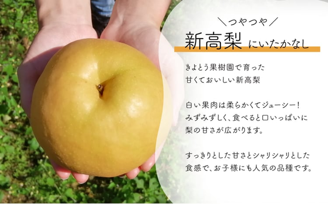 新高梨 上級品 3-6玉 (岡山県産)【KF-C002-01】