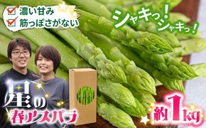 【2027年3月～発送】【数量限定】甘い！柔らかい！【星のアスパラ】グリーン アスパラガス 約1kg / アスパラ あすぱら あすぱらがす 採れたて 新鮮 旬 産地直送 野菜 / 南島原市 / ほしのYA [SEY001]