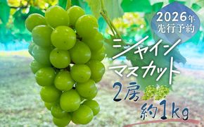 【2026年先行予約】山梨県産 シャインマスカット 2房（約1.0kg）｜大粒 高糖度 種なし 甘い ぶどう 葡萄 フルーツ 果物 産地直送 贈答用 送料無料 JX003 
