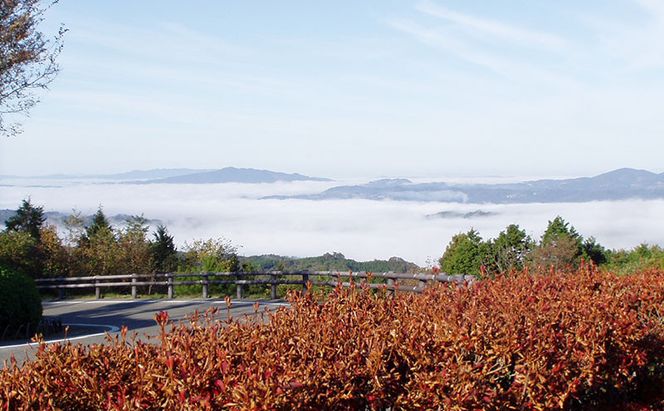 赤磐市 吉井竜天オートキャンプ場（ 広場サイト 利用券 ） キャンプ アウトドア 旅行 キャンプ場 宿泊券