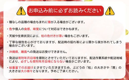 クイーンルージュ® 約1kg（約1～2房）《信州グルメ市場》■2025年発送■※9月上旬頃～10月中旬頃まで順次発送予定