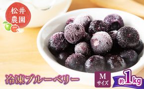 ブルーベリー【冷凍ブルーベリー（Mサイズ）１kg　贈答品】冷凍 完熟 果物 トッピング ヨーグルト 信州 長野