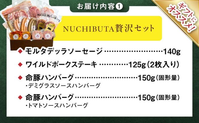 『NUCHIBUTA 贅沢セット』 豚肉 ハンバーグ ソーセージ ハム 詰め合わせ お取り寄せ 国産 ギフト 冷凍 沖縄市 / DELICATESSEN NUCHIBUTA [BCAR008]