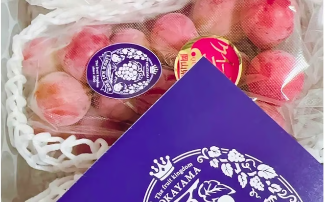 【2026年先行予約】【ご家庭用】 希少品種 クイーンニーナ 3～４房 2kg以上（化粧箱入り） Lino＆Kai Farm / 朝採れ ぶどう 岡山 真庭市 珍しい 高級 ギフト 大粒 果物 贈答 人気 産地直送 国産 数量限定 種なし 食べチョクアワード 受賞 【linokai011-02】