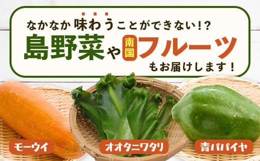 沖縄 石垣島 新鮮 島やさい・くだもの BOX 【 野菜・フルーツ 詰め合わせセット 】1箱 ≪お野菜4～5種類、フルーツ1~2種類≫