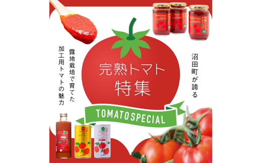 【定期便】契約農家が露地栽培した完熟トマトケチャップ（320g瓶×2本×6ヶ月）保存料 無添加 国産 北海道産 n-0222	