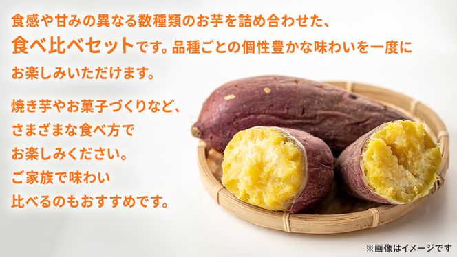 お芋 の 食べ比べ 4品種×各3㎏ 【 2026年12月上旬発送開始 】 ( 茨城県共通返礼品：大子町 ) さつまいも 焼き芋 熟成 高糖度 しっとり なめらか ねっとり 蜜芋 甘い 農家直送 産地直送 [FC206us]
