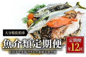 ＜定期便・全12回 (連続)＞魚介類定期便 (2-3人前×12ヶ月)魚 魚介 いか イカ たこ タコ 貝 海老 えび エビ 獲れたて 冷蔵 海の直売所 大分県 佐伯市【AS63】【海べ (株)】