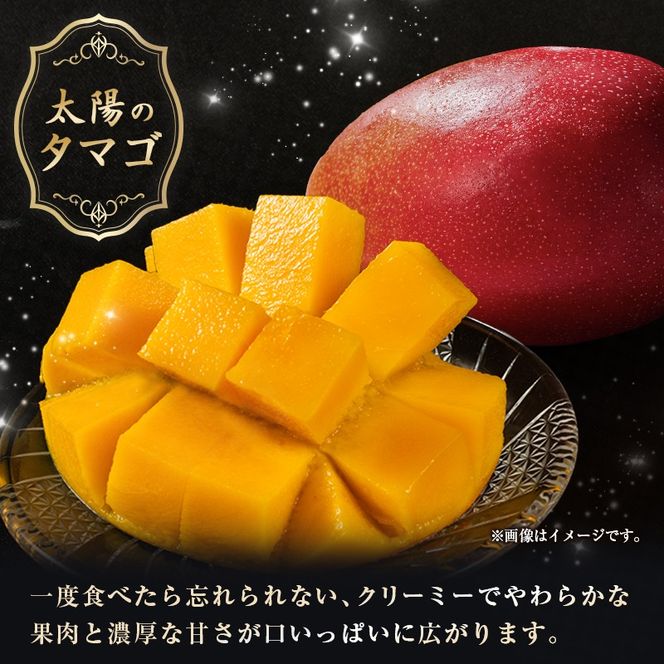 【令和8年発送 先行予約】完熟マンゴー「太陽のタマゴ」 2L×2玉（フルーツ マンゴー 完熟マンゴー アップルマンゴー 果物 くだもの 先行受付）