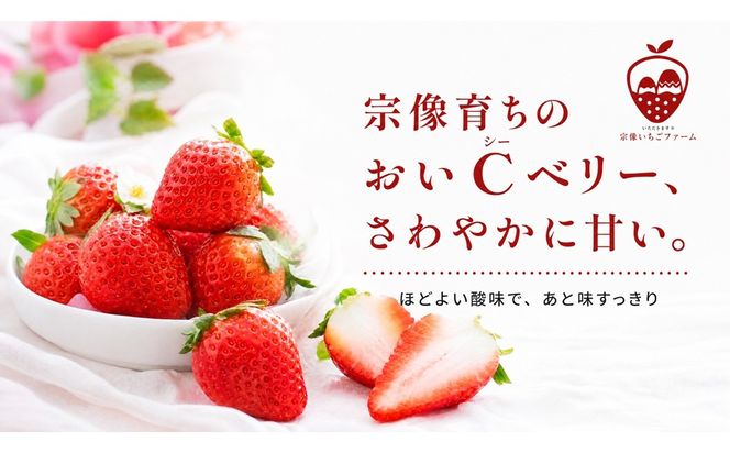【先行予約】【2027年1月より順次発送】【3ヶ月毎月お届け】人気のいちご 2品種食べ比べ定期便【宗像いちごファーム】_HB0214 苺 イチゴ あまおう おいCベリー 福岡県宗像市 宗像市 福岡 宗像