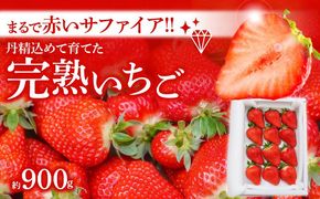 （予約受付中）【12月から順次発送】まるで赤いサファイア!!丹精込めた完熟いちご!! 約900g H130-010