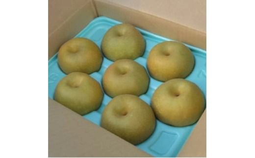 【先行予約】小林果樹園の梨 豊水 5～8玉 約3kg｜ほうすい 朝どり みずみずしい 梨 なし ナシ フルーツ 果物 常総市　※2026年9月～発送