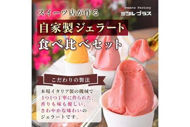 ＜先行予約受付中！2026年7月から順次発送予定＞自家製こだわり製法！自家製ジェラート(4個) アイス クリーム スイーツ デザート ピスタチオ ご褒美 詰め合わせ 食べ比べ 【I-11】【ミツル・プラス】