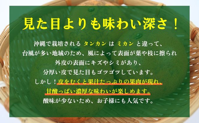 【2027年発送】大宜味村 たんかん 約10kg 沖縄 おきなわ 大宜味村 果物 くだもの 果実 タンカン オレンジ みかん 柑橘 フルーツ お取り寄せ 人気 ふるさと納税 送料無料 国産 県産 ご当地 やんばる 先行予約