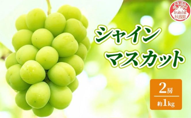 【2026年9月～発送】シャインマスカット 約1kg 2房 ぶどう フルーツ 果物 デザート 長野県 山ノ内町
