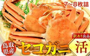 922.【活】鳥取県産セコガニ　訳あり　良品7~8枚詰《かに カニ 蟹 セコガニ》※2026/11/6～2026/12/25に順次発送予定※着日指定不可  離島不可（北海道、沖縄本島は配送可能） 313726_AL002VC01