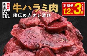 099Z380 牛ハラミ 定期便 1.2kg 全3回【毎月配送コース 小分け 300g×4 味付き 牛肉 焼くだけ 小分け BBQ やきにく 数量限定】