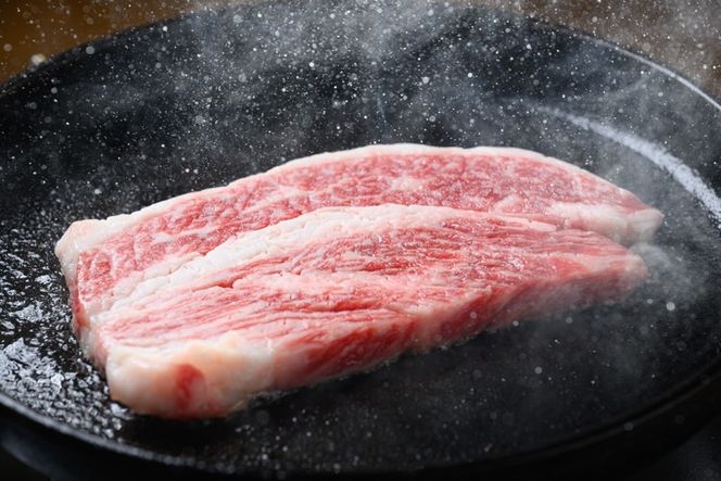  訳あり 飛騨牛 ステーキ 切り落とし 計1kg | 牛肉 肉 お肉 飛騨牛 黒毛和牛 切り落とし 和牛 国産 訳アリ 人気 訳あり 不揃い 冷凍 岐阜 瑞穂 トキノ屋 BBQ バーベキュー 人気 ステーキ 1kg