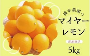 【先行予約】橋本農園のマイヤーレモン 5kg【2026年12月中旬から2027年1月中旬までに順次発送】 / レモン マイヤーレモン 檸檬 先行予約【mht006】