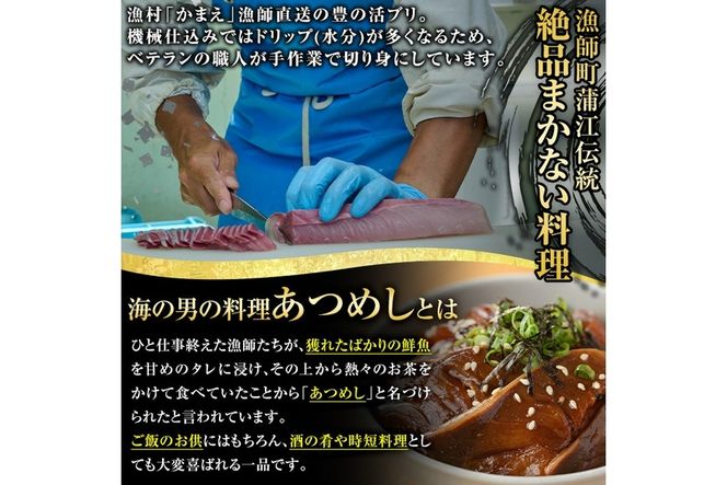 海鮮お茶漬け セット (合計約700g・2種) お茶漬け あつめし 海鮮 詰め合わせ 鯛 茶漬け タイ ブリ大分県 佐伯市【CK61】【かまえ直送活き粋船団】