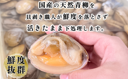 岬だよりの＜貝専門店＞天然の青柳小柱　250g×2袋 