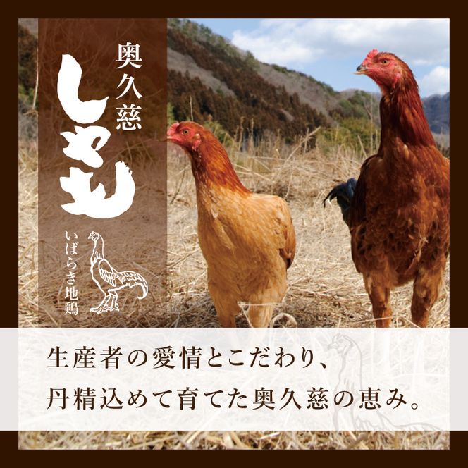 奥久慈しゃも肉詰め合わせ・堪能セット（計1kg）（正肉スライス400g・唐揚げ用カット200g・ササミ400g）｜茨城県 大子町 奥久慈 袋田 奥久慈しゃも生産組合 地鶏 軍鶏 シャモ 鶏肉 正肉 唐揚げ からあげ ささみ ササミ 焼き鳥 鍋 冷凍（AR001-1）