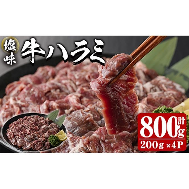 y啪sz n~ (v800g)    n~ ͂ t ē  BBQ Ⓚ 啪 syDH298zy()lNTz