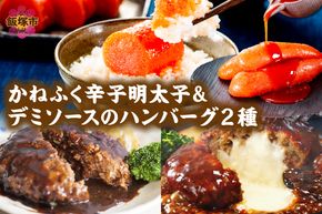 【A5-301】かねふく辛子明太子&デミソースのハンバーグ2種セット
