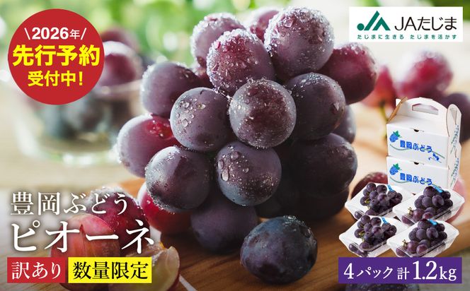 �y���Ɍ��L���s�z�y2026�N��s�\��z���ʌ��� �󂠂� �L���Ԃǂ��u�s�I�[�l�v ��300g×4�p�b�N �^ �҂��[�� �u�h�E ���� �󂠂�Ԃǂ� �嗱 �����Â� �u�₩�Ȏ_�� �V�N �ʕ� �Y�n���� �������� �t���[�c ��i ����