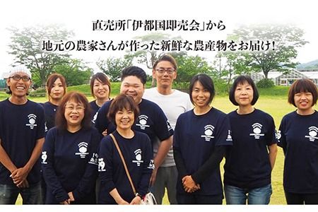 【全6回定期便】福岡県糸島産 旬の野菜盛り合わせセット 糸島市/ファームパーク伊都国 [AWC008] 旬 季節 野菜 詰め合わせ セット 糸島野菜 直売所 定期便