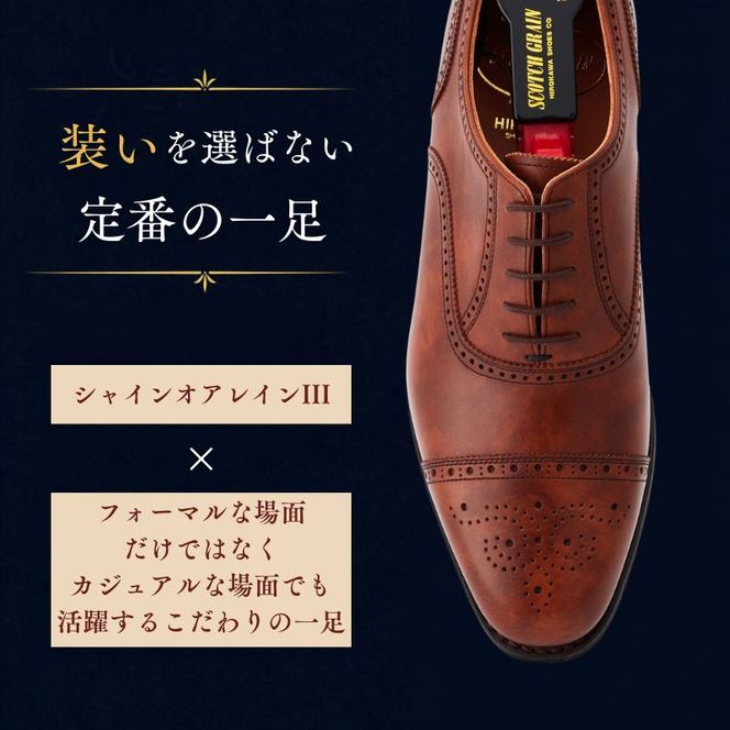 スコッチグレイン ビジネスシューズ メンズ シャインオアレインIII 2720BR セミブローグ 革靴 本革 日本製 EEE 送料無料 ギフト