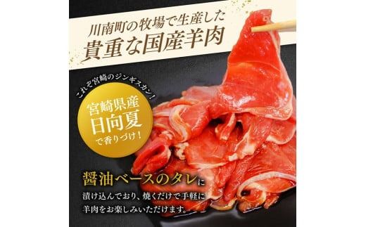 宮崎県産羊肉　寿ジンギスカン600g（300g×2）【 肉 羊肉 国産 九州産 川南町産 ジンギスカン 羊 ひつじ 味付き 】[D11904]