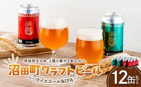 沼田町クラフトビール飲み比べセット IPA ライスエール 12缶（各種6缶） 地ビール ビール 酒 アルコール アルコール飲料 沼田町 北海道 n-0267