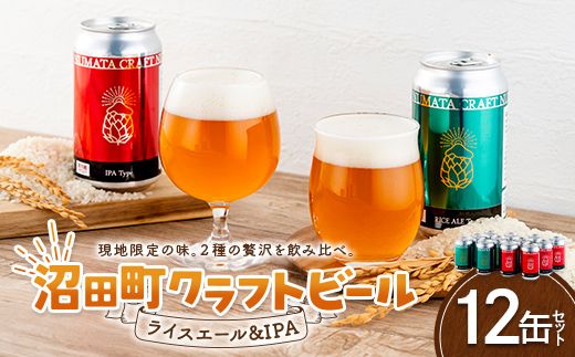 沼田町クラフトビール飲み比べセット IPA ライスエール 12缶（各種6缶） 地ビール ビール 酒 アルコール アルコール飲料 沼田町 北海道 n-0267